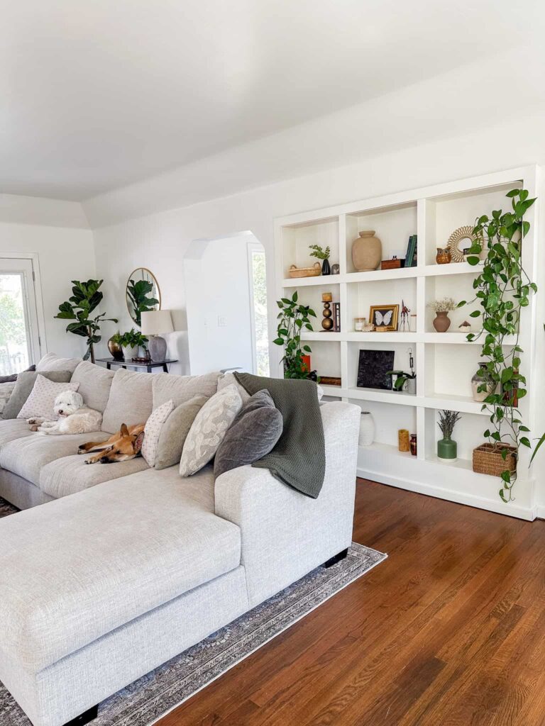 White Walls: The Canvas of Organic Modern Design