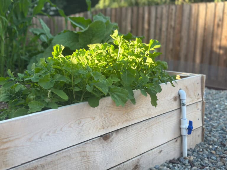 How to Build a DIY Raised Gardening Bed for About $35